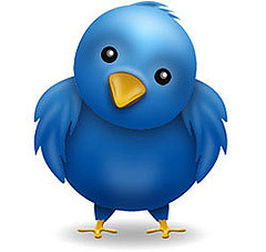 Twitter bird by Travelin