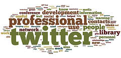 Twitter Survey Wordle by sallysetsforth, on Flickr