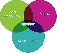 Why Twitter matters by Ant McNeill, on Flickr