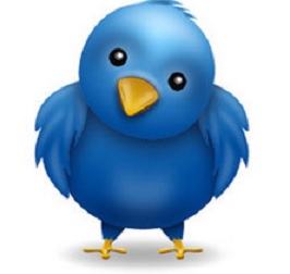 Twitter bird by Travelin